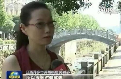 丹东都市爆料新闻视频,最新视频揭露惊人内幕 第3张 丹东都市爆料新闻视频,最新视频揭露惊人内幕 第3张