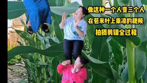 农村玉米爆料视频大全,农村玉米爆料视频大盘点 第3张 农村玉米爆料视频大全,农村玉米爆料视频大盘点 第3张